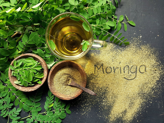 16 poderosas razones para consumir moringa